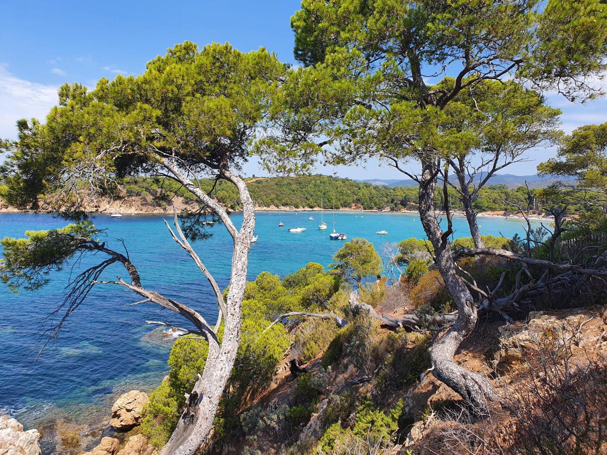Chalet Melrose - Parc Valrose *