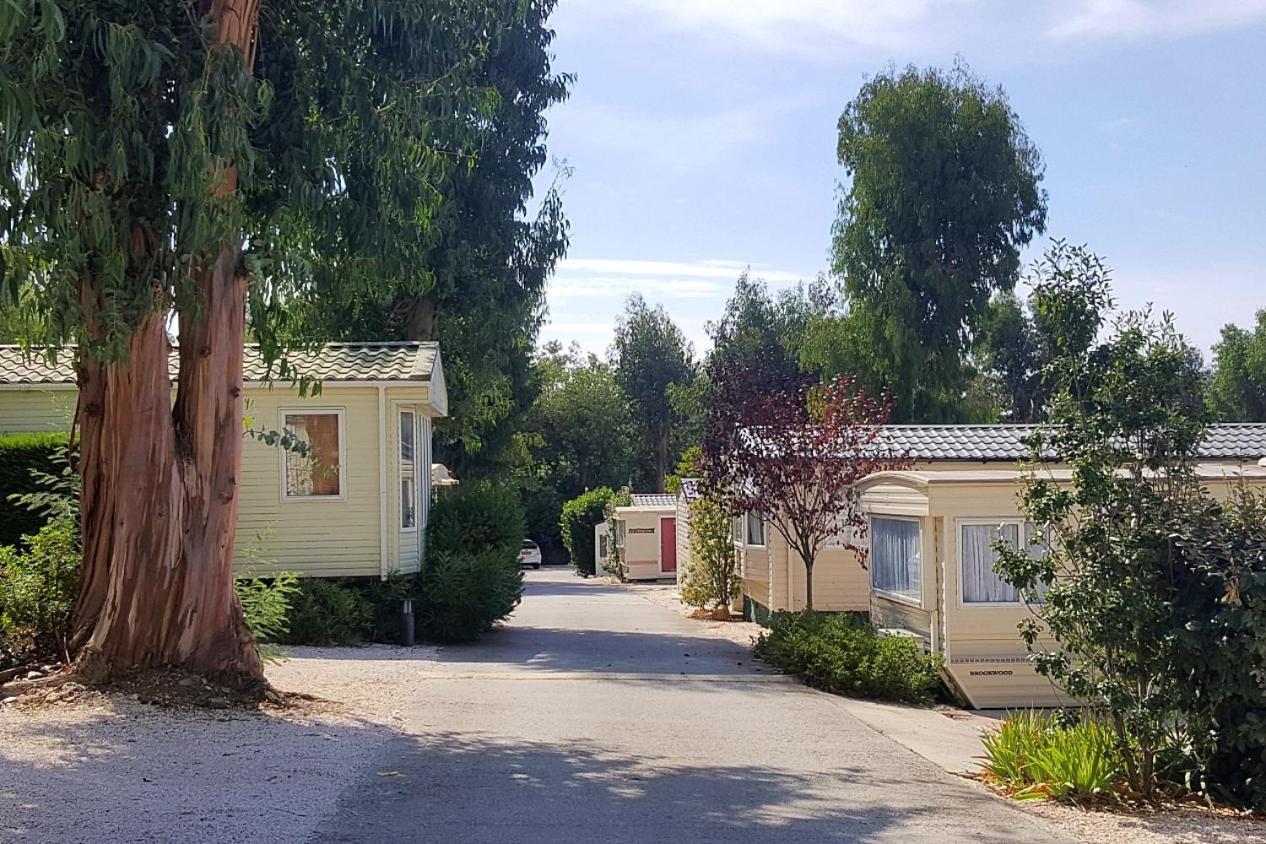 Melrose - Parc Valrose